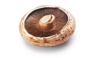 portobello mushroom health benefits